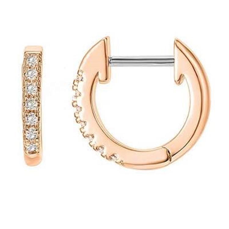 Lino De Gasperi - Flashing Earrings